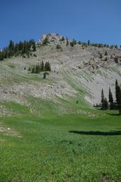 Grassy meadow [sat jul 3 11:35:18 mdt 2021]